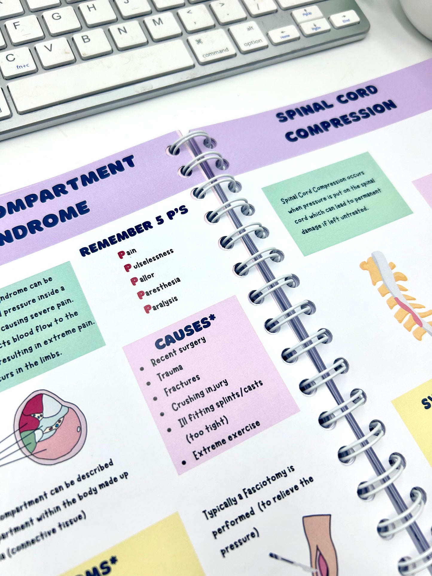 PRE ORDER- The World of Nursing: The Ultimate Study Manual