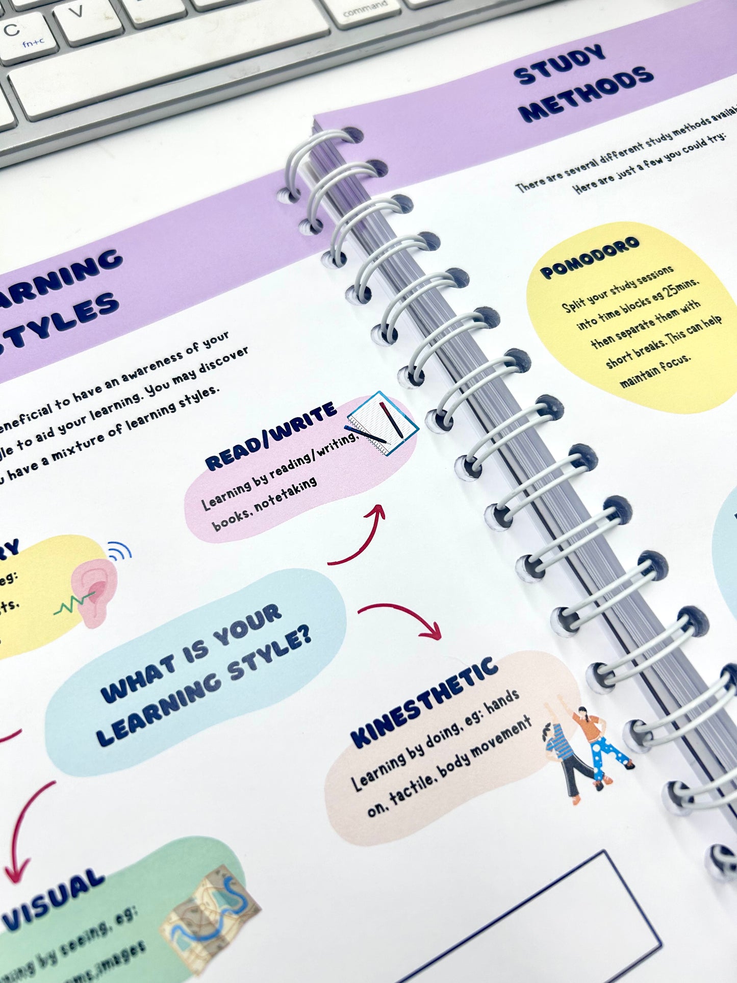 PRE ORDER- The World of Nursing: The Ultimate Study Manual
