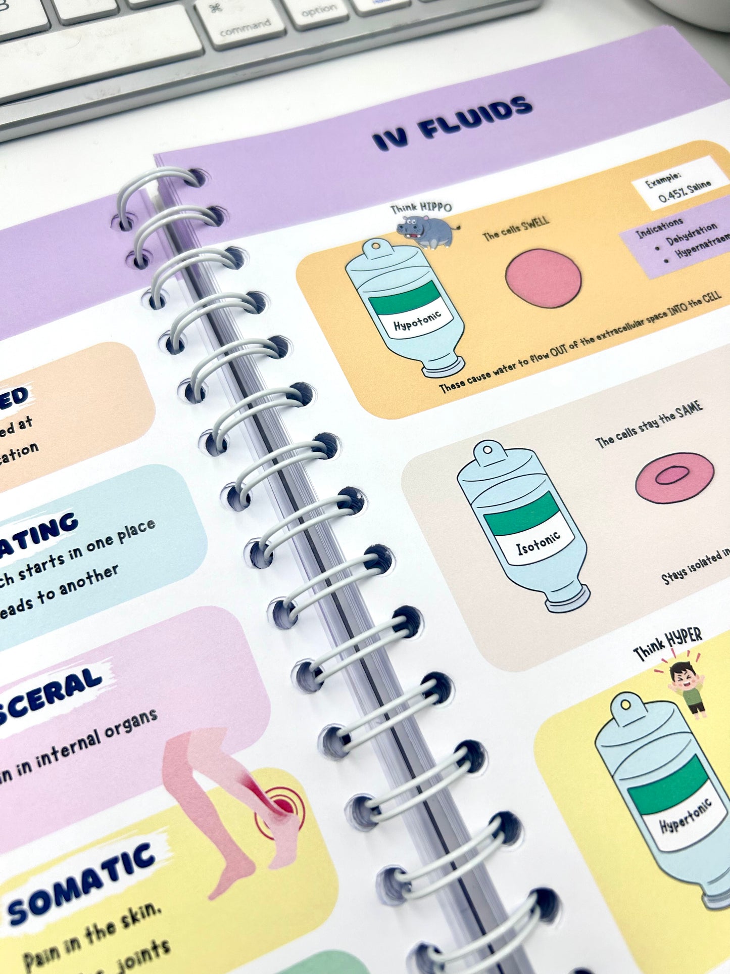 PRE ORDER- The World of Nursing: The Ultimate Study Manual