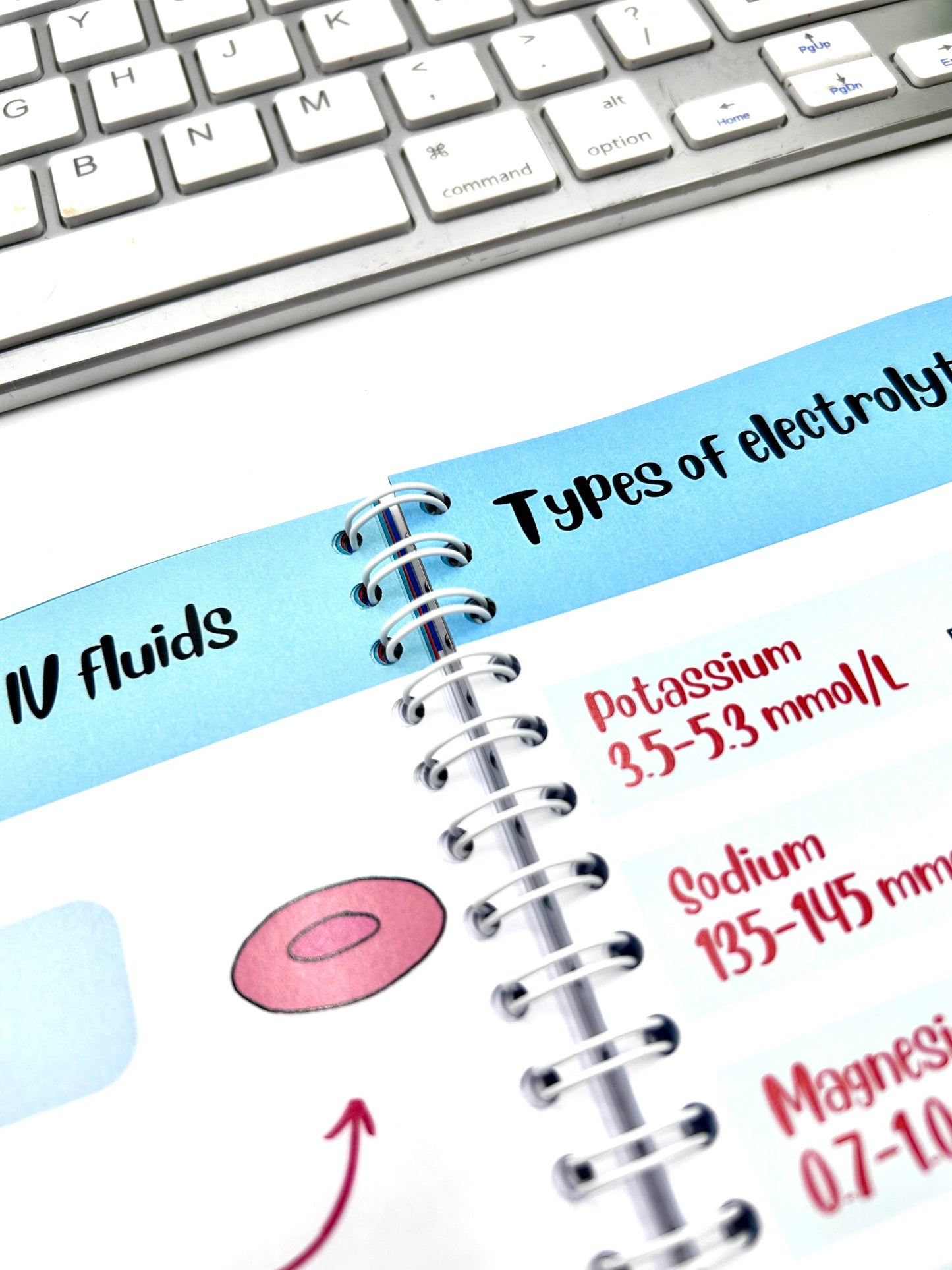 The little book of Nursing Notes