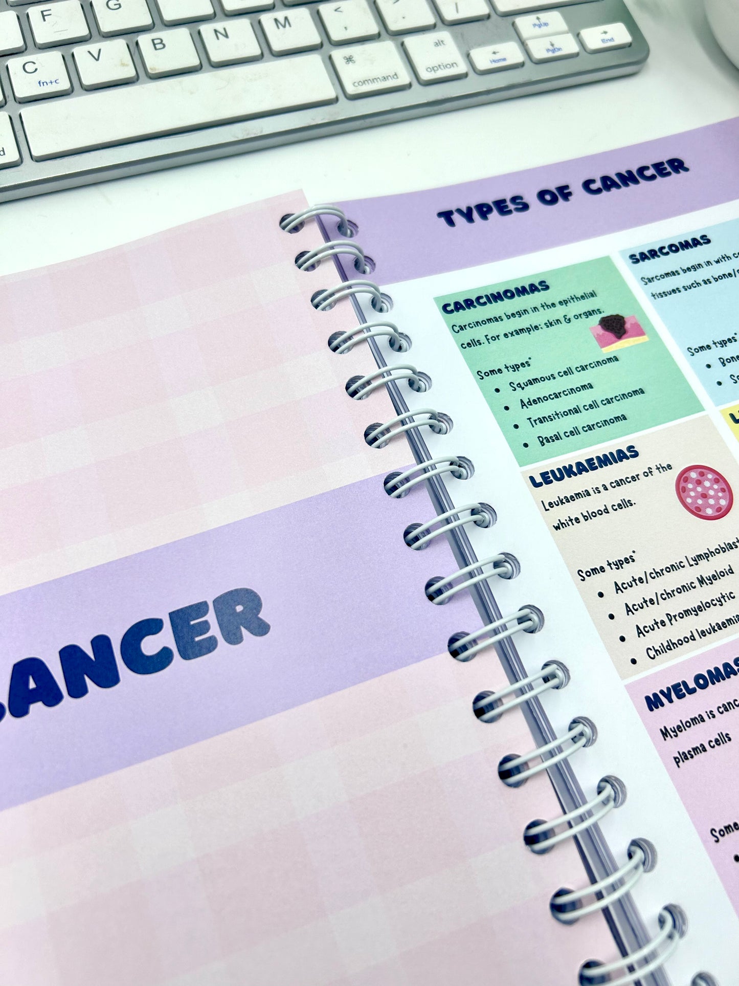 PRE ORDER- The World of Nursing: The Ultimate Study Manual