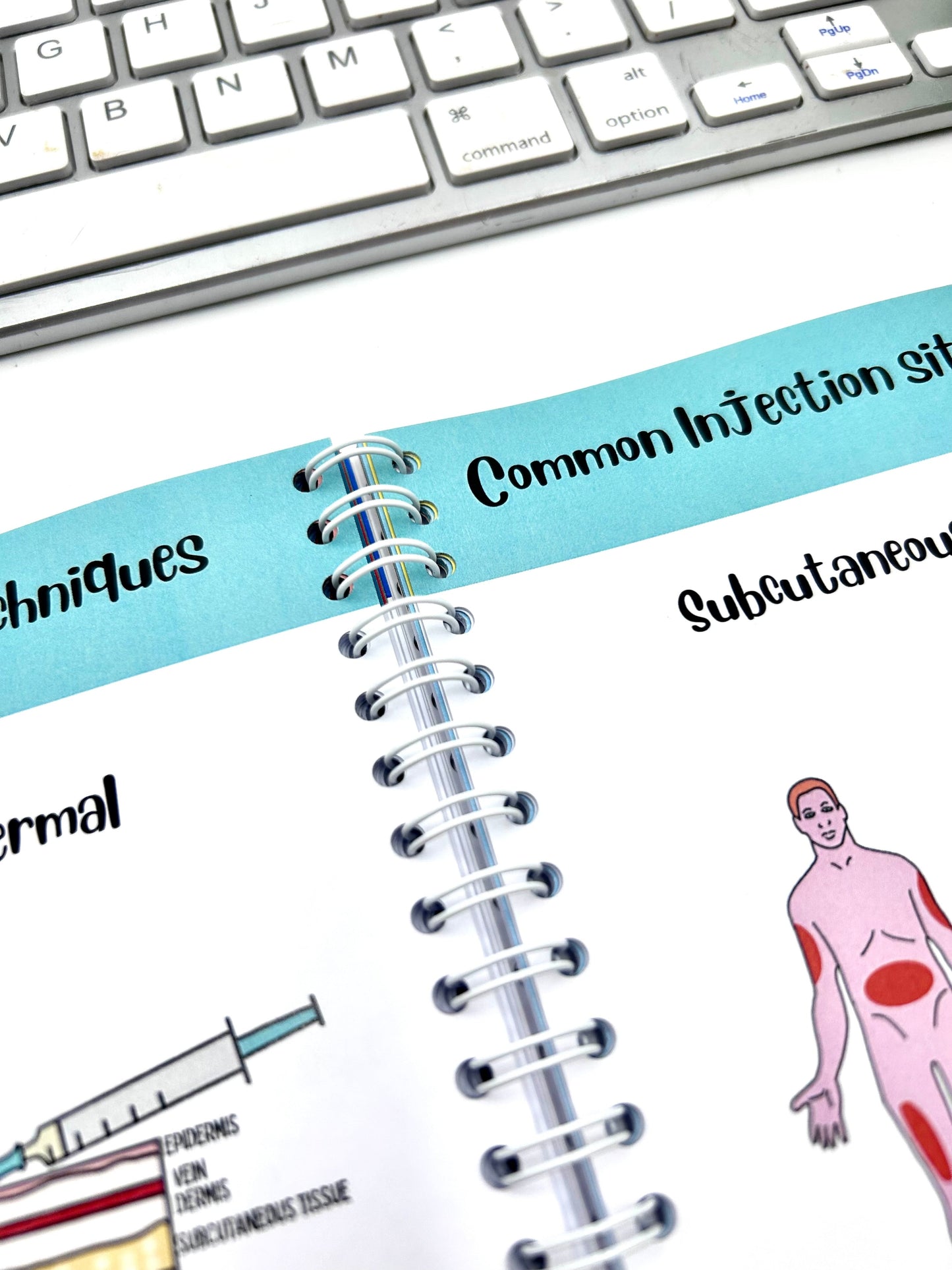 The little book of Nursing Notes