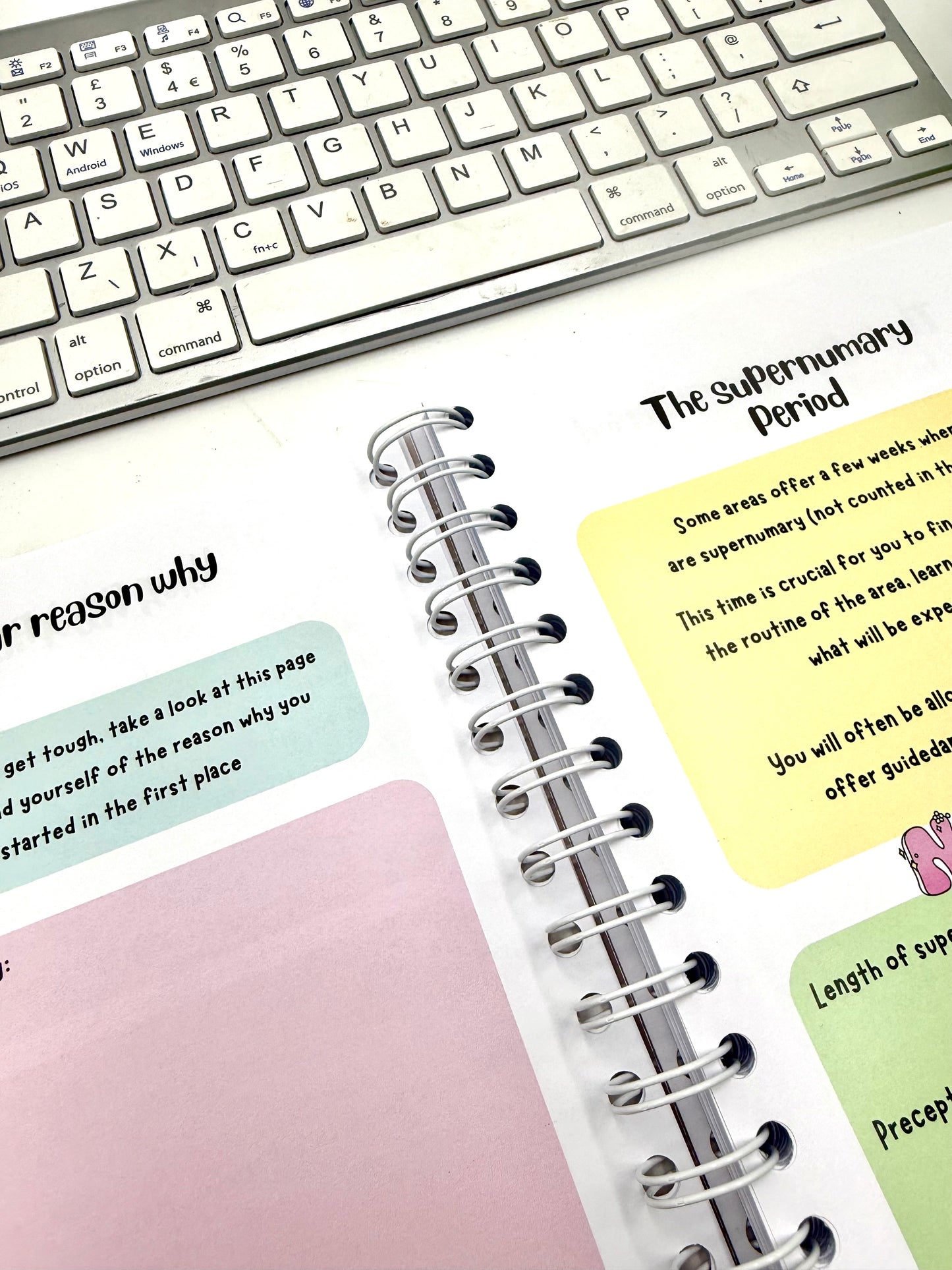 PRE ORDER: Newly Qualifed Nurse (NQN) Journal