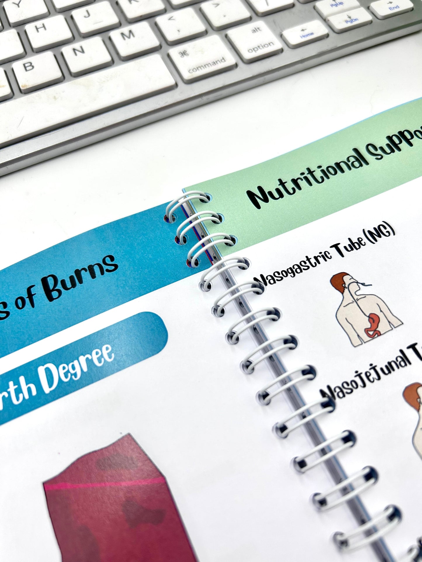 The little book of Nursing Notes