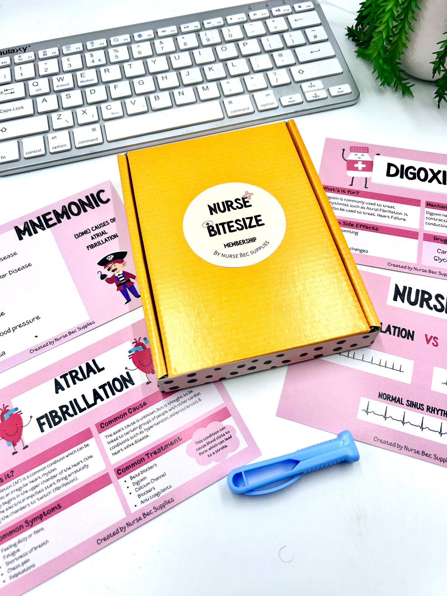 Nurse Bitesize - JANUARY (one off box)
