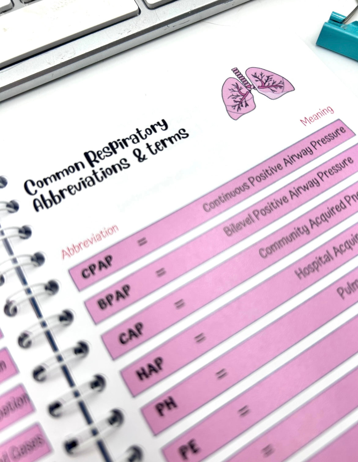 The Ultimate Nursing Essentials Bundle