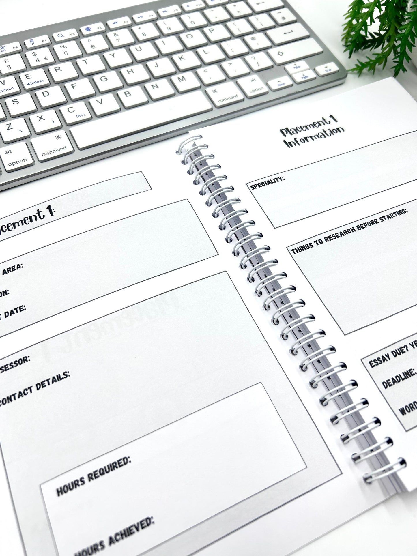 PRE ORDER: Placement Diary - YEAR THREE