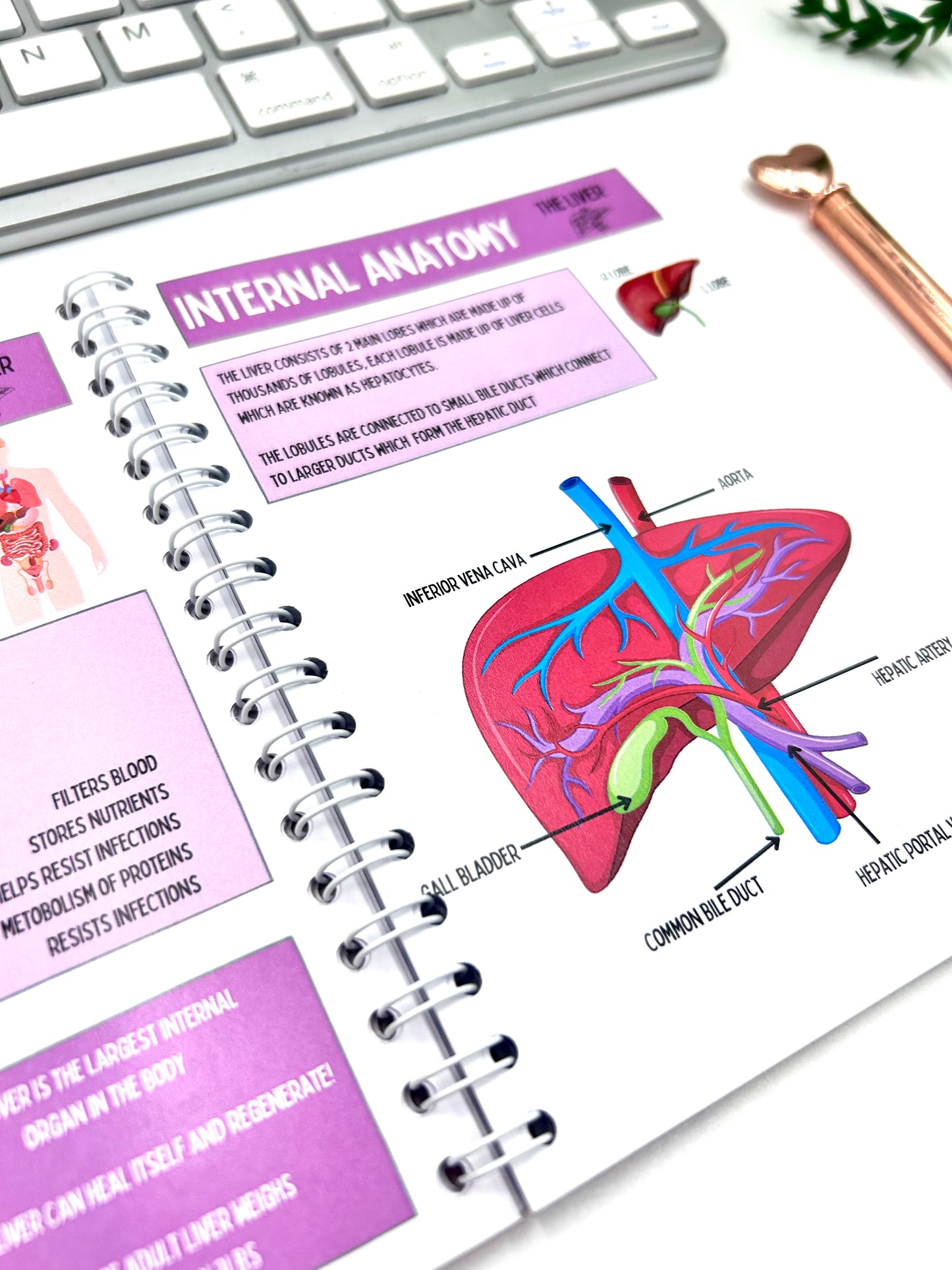 Organs & their Obstacles pocket book