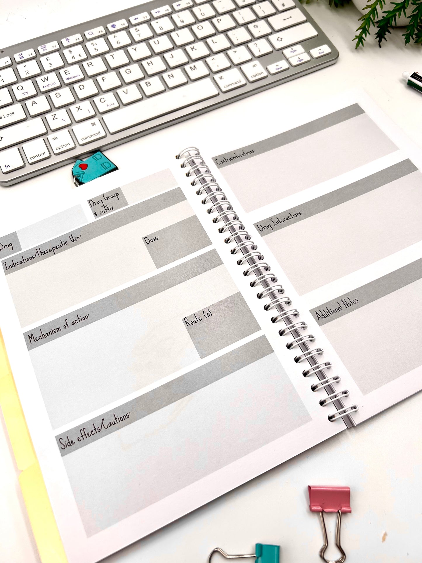 The 4 in 1 Revision Book