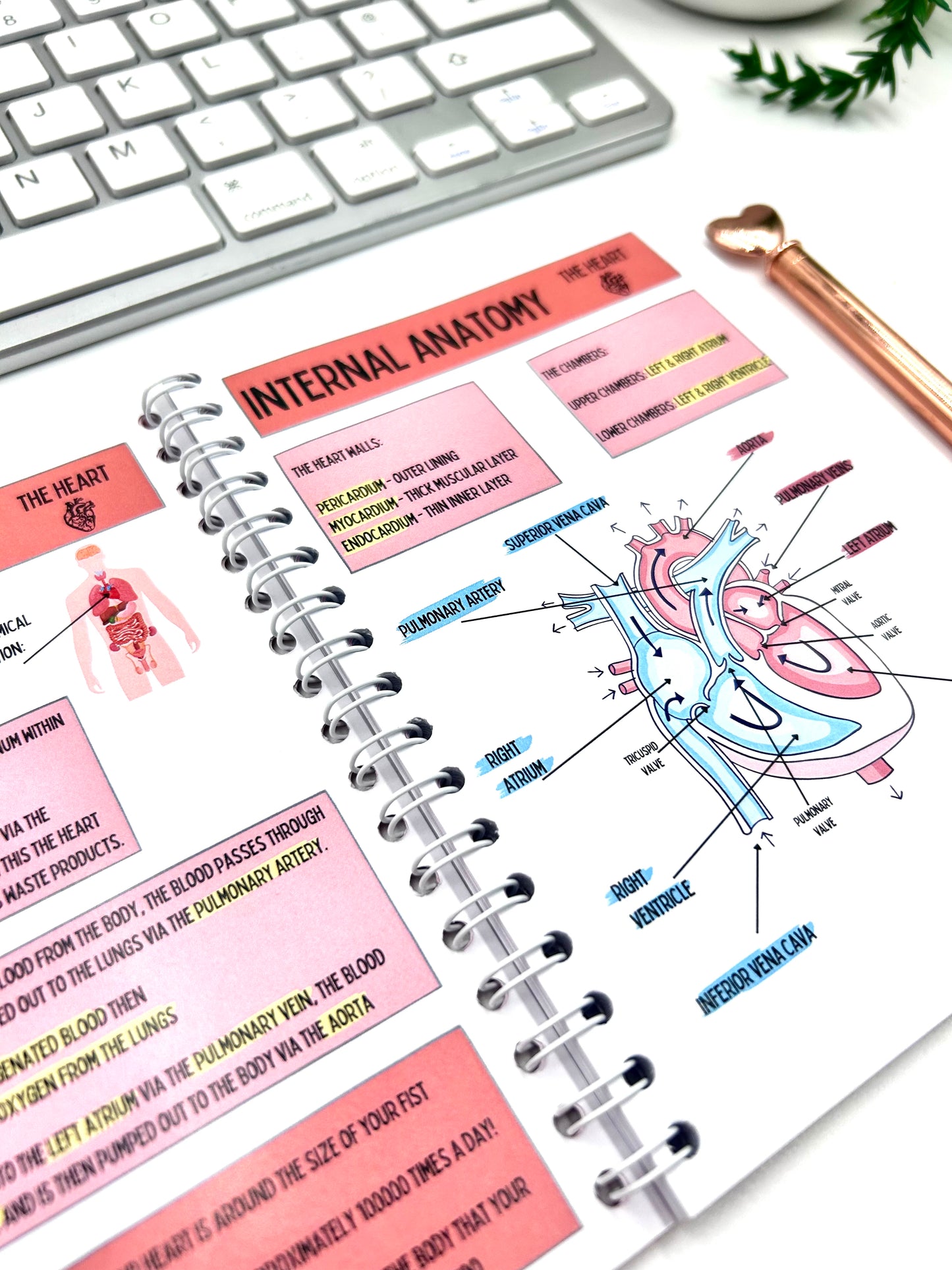 Organs & their Obstacles pocket book