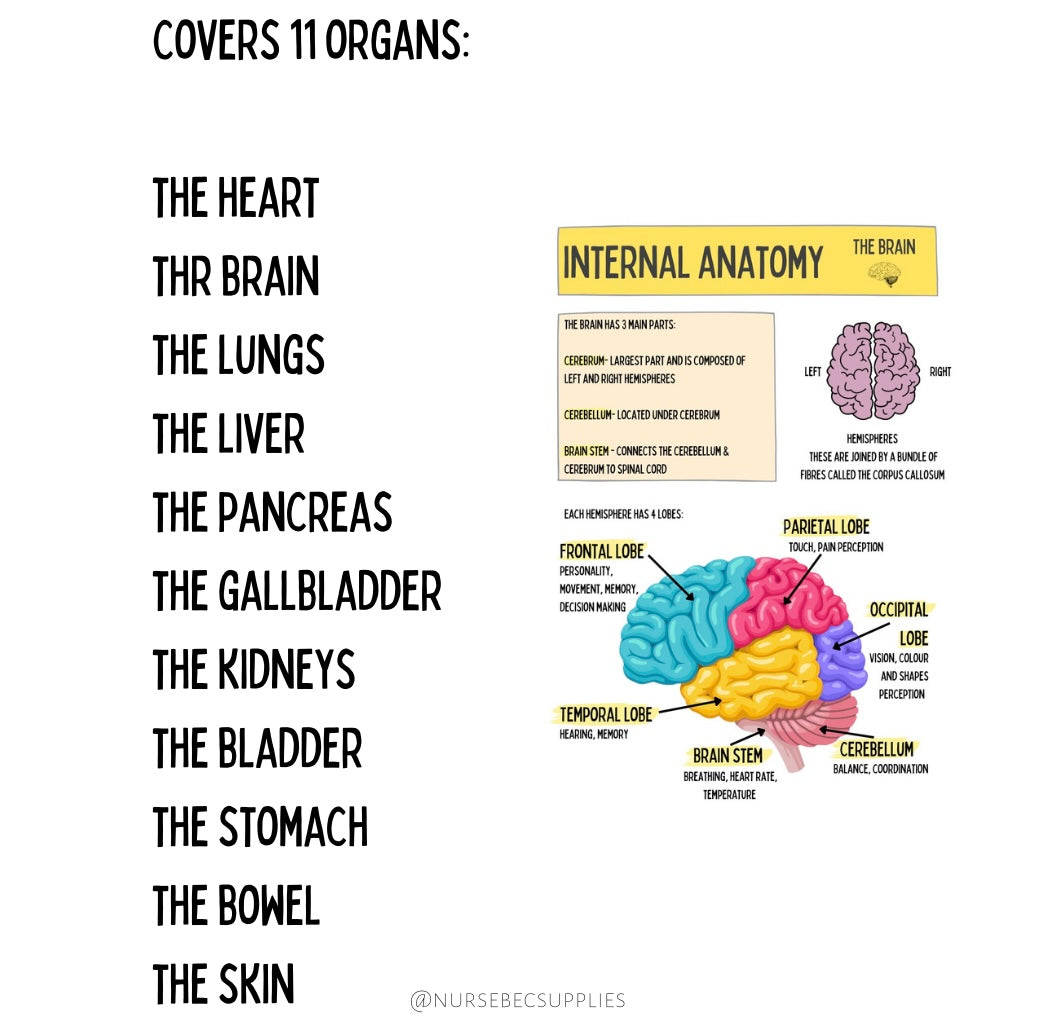 Organs & their Obstacles DIGITAL DOWNLOAD
