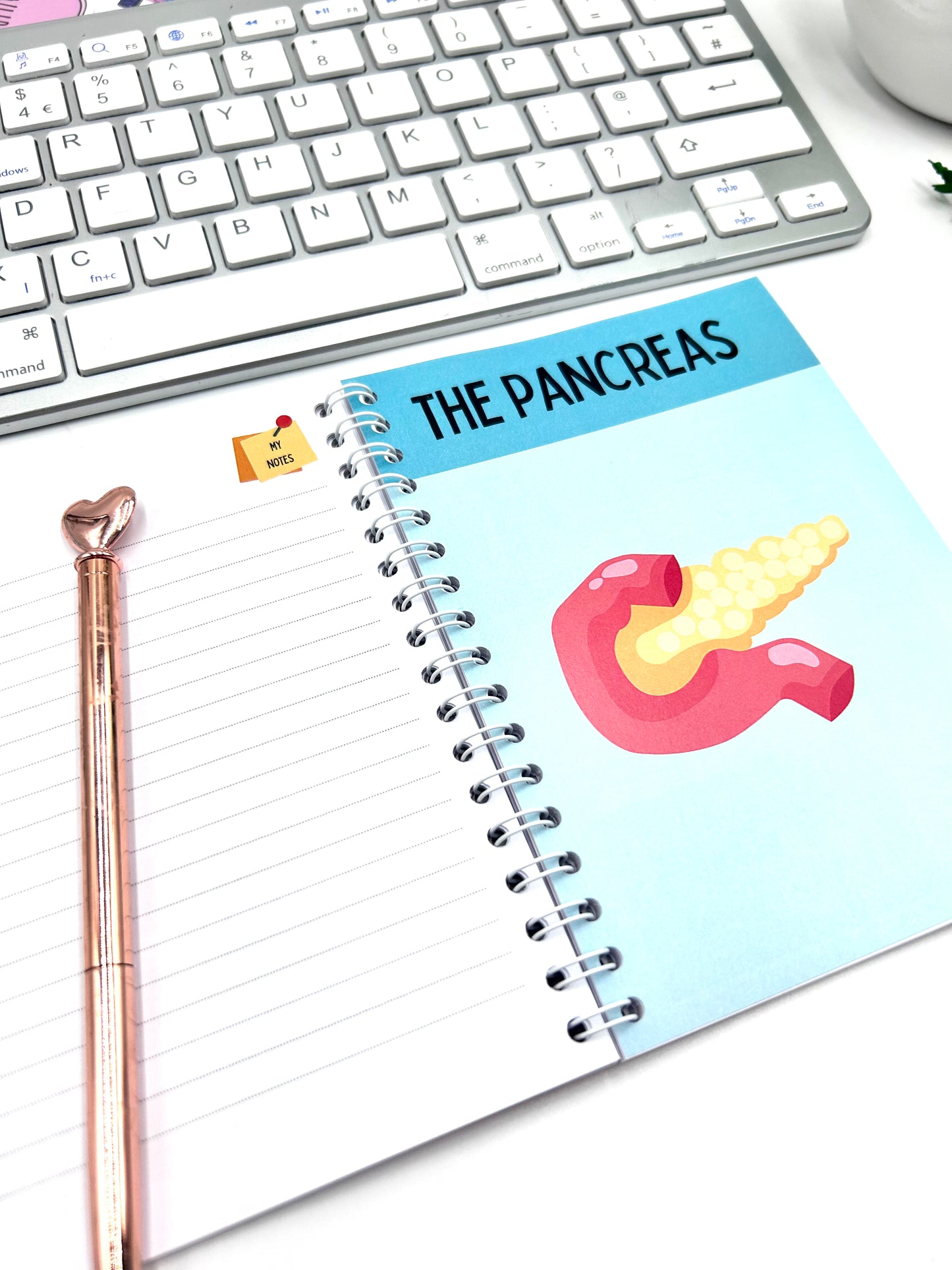 Organs & their Obstacles pocket book