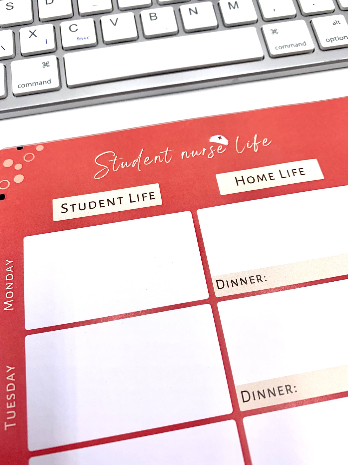 Student Nurse Life Planner (tear off pad)