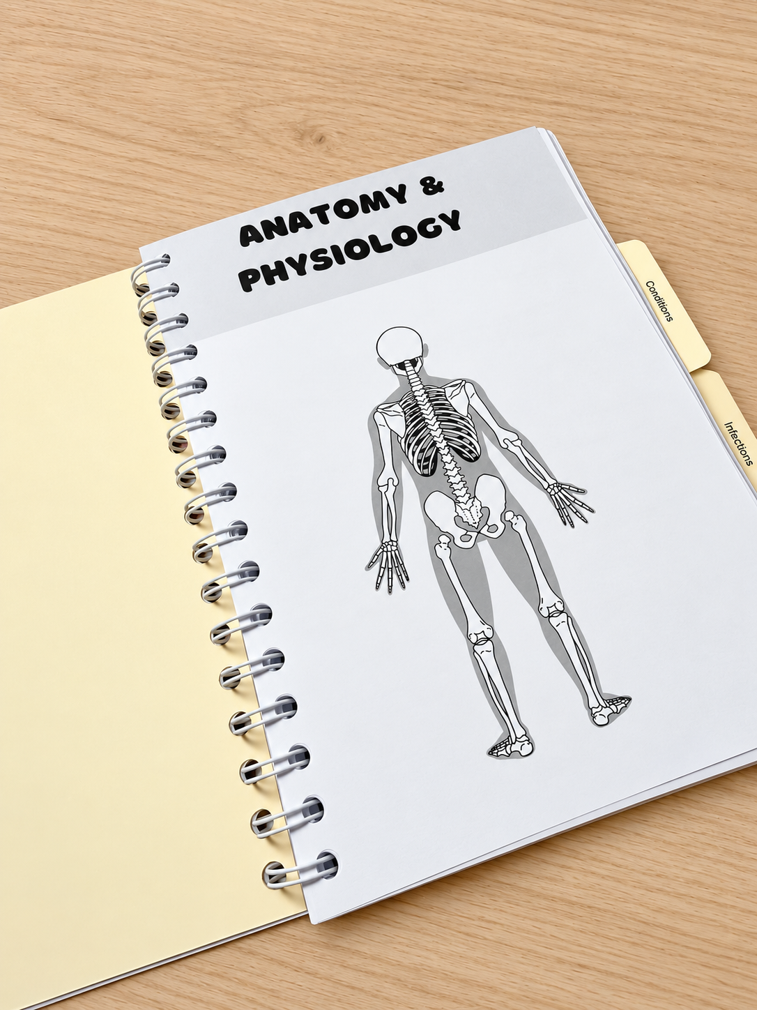The 4 in 1 Revision Book