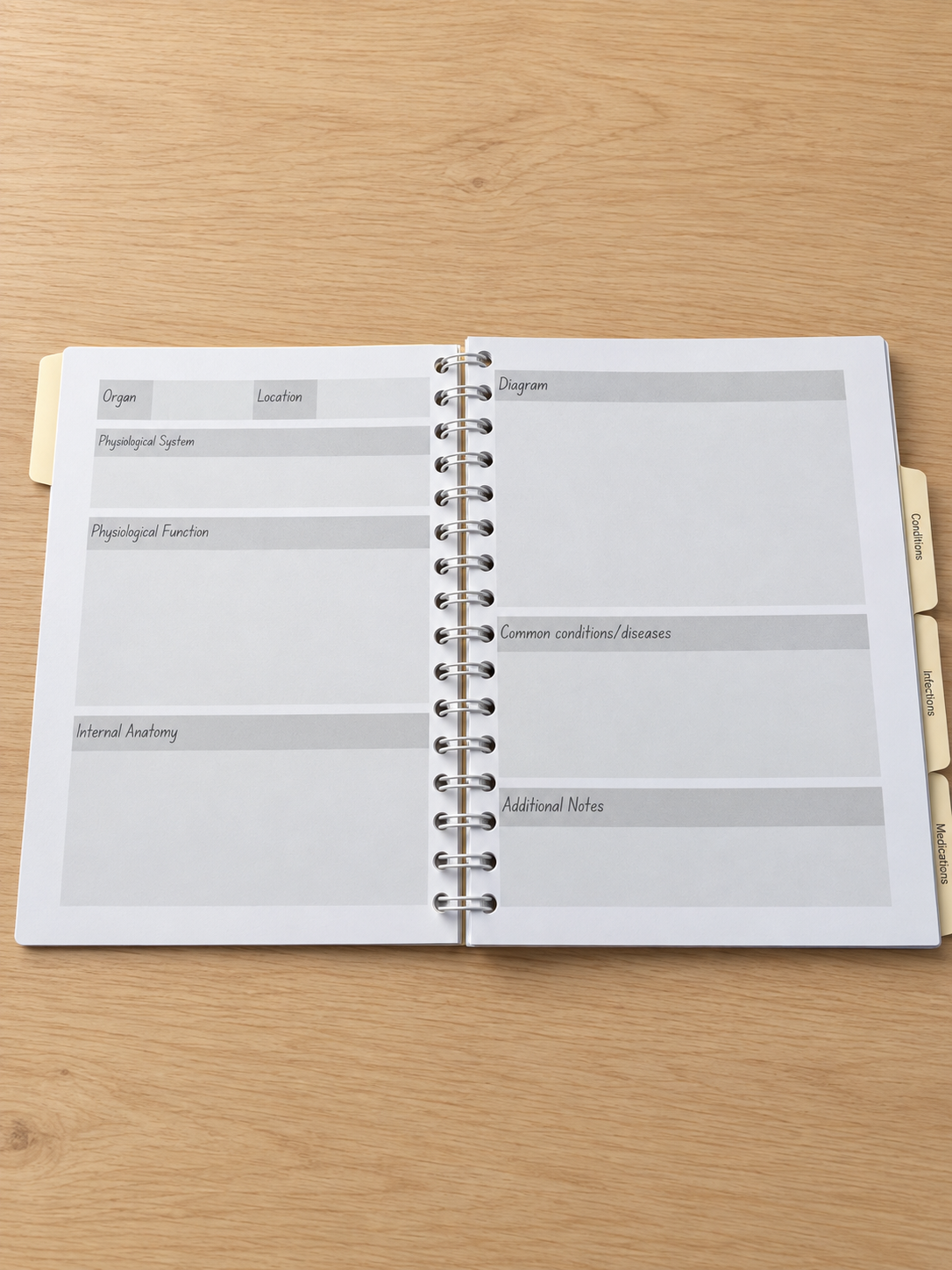 The 4 in 1 Revision Book