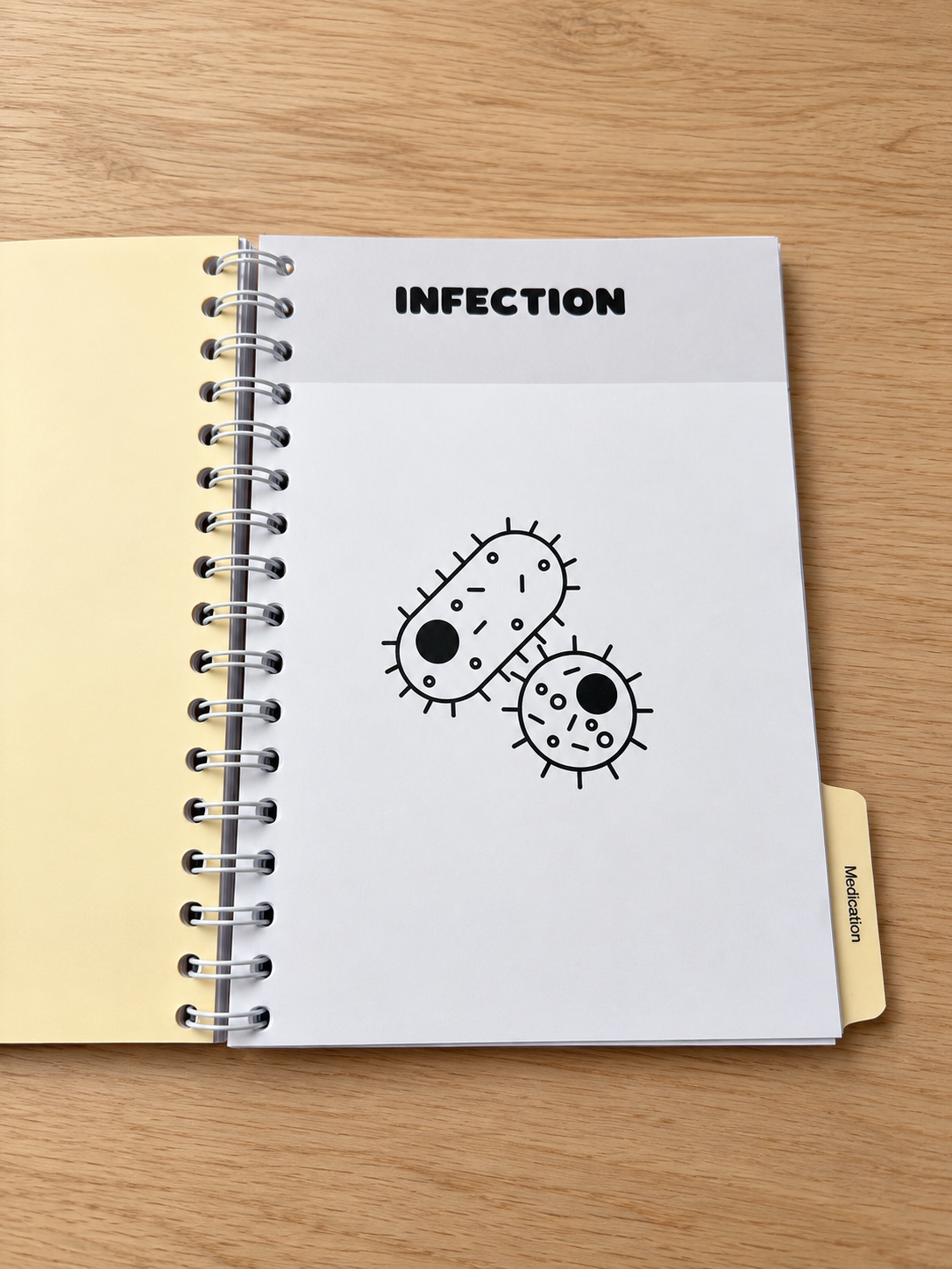 The 4 in 1 Revision Book