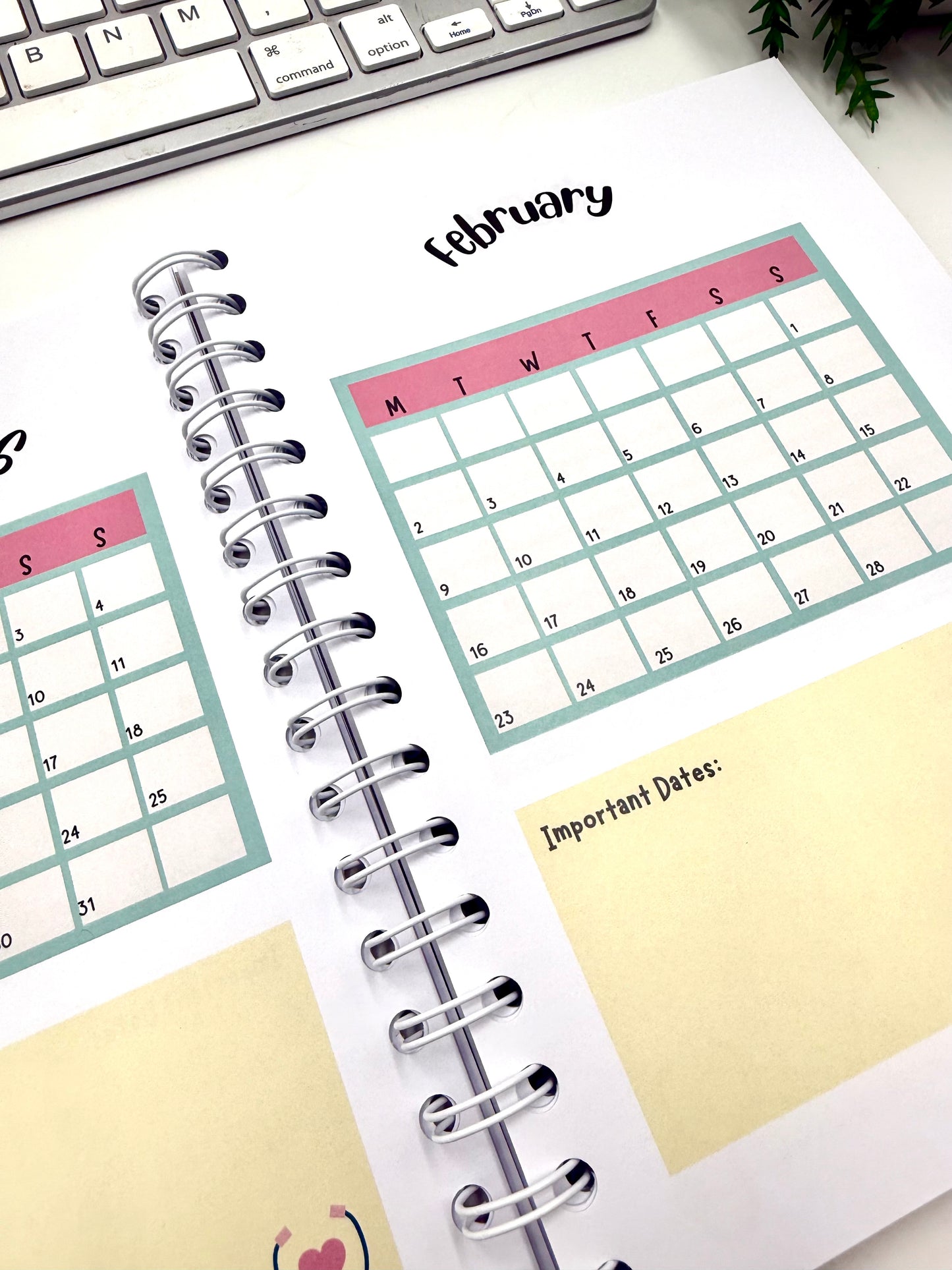 Academic Planner for student nurses (Sept 2025-Aug 2026)