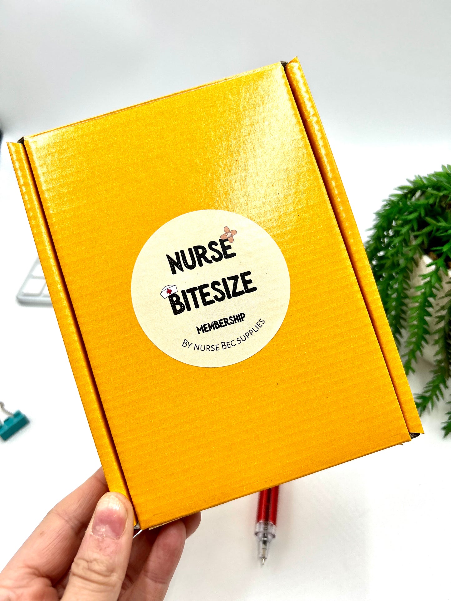 Nurse Bitesize Subscription