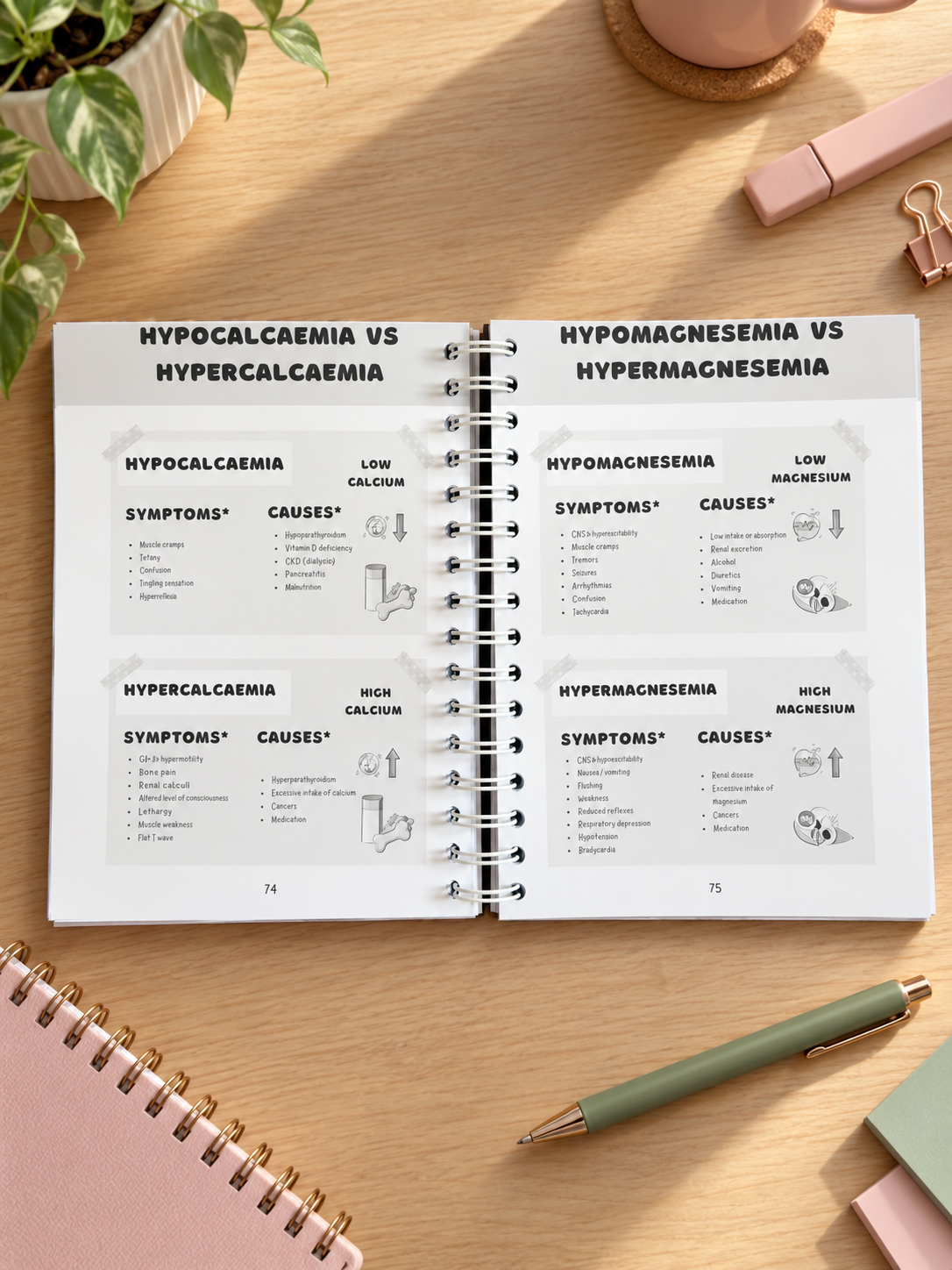 BLACK & WHITE- The World of Nursing: The Ultimate Study Manual